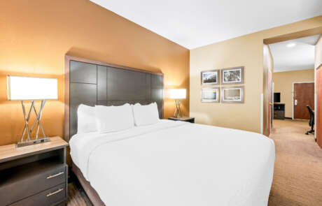 53027_suite_17